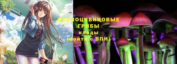 соль курить ск Алексеевка