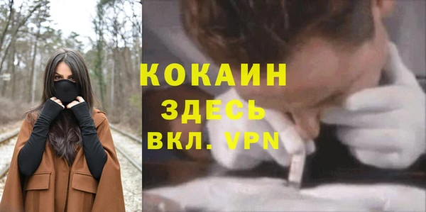 соль курить ск Алексеевка