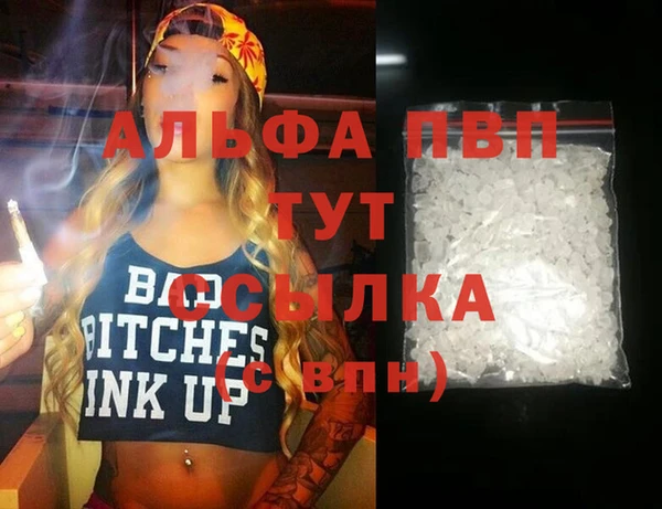 прущие грибы Абаза